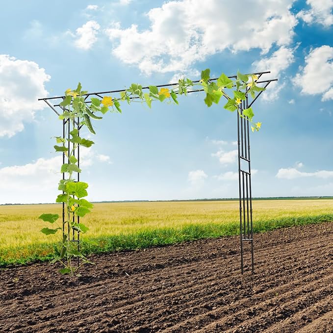 11.8x8.9ft Large Garden Trellis for Climbing Plants Heavy Duty Steel Arch Trellis for Outdoor Cucumber Grape Rose Pea Flower Plant Support Garden Arch for Wedding Arch Decor (Black)