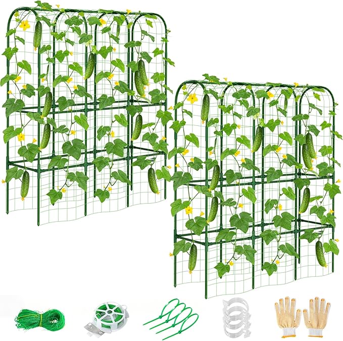 2 Pack 62in Tall Cucumber Trellis for Raised Bed 51 L x 62 H Metal Garden Trellis for Climbing Plants Outdoor U-Shape Vegetables Trellis Support for Squash Zucchini