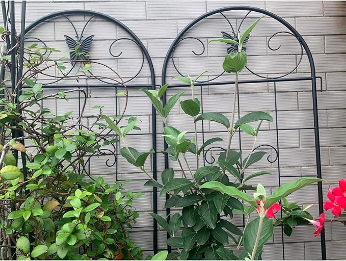 Metal Garden Trellis 2 Pack - Versatile Climbing Plant Support for Indoor/Outdoor Use
