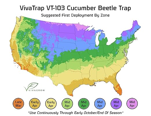 VivaTrap VT-103 Cucumber Beetle Trap &amp Lure (2 Pack)