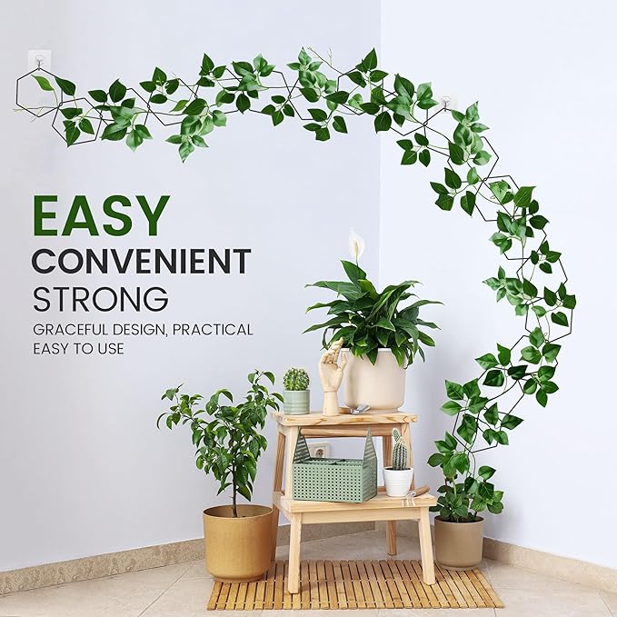 Trellis for Climbing Plants Indoor &amp Outdoor Pothos Plant Climber Support with Connect-Hooks18pcs DIY House Plant Accessories for Ivy Hoya Pothos FlowerGarden Plant Wall Trellis Gift - Hexagons