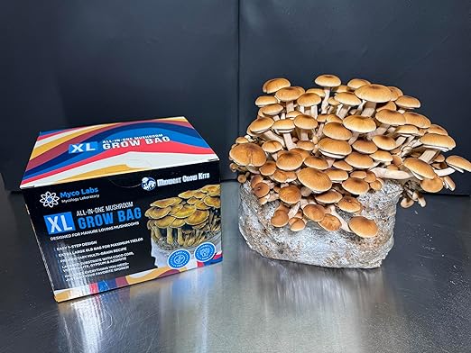 All-in-One Mushroom Grow Bag for Manure Loving Mushrooms + Spore Germination Jar! (6LB)