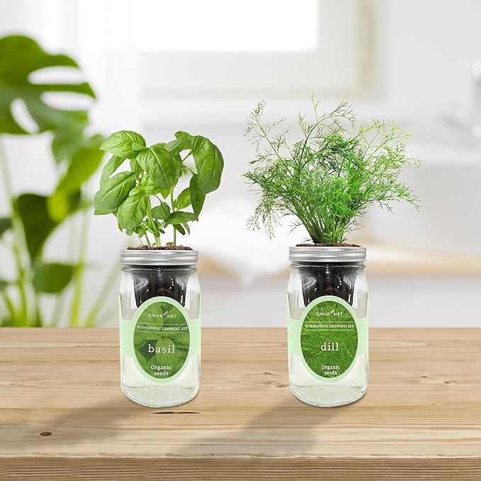 2-Pack Hydroponic Mason Jar Herb Garden Kit Indoor Herb Garden Self-Watering Starter Kit (BasilDill)