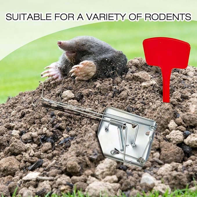 Qualirey 8 Pcs Outdoor Gopher Traps Easy Set Mole Mouse Gophers Vole Trap Bulk Mole Traps Weather Resistant Gopher Killer Killer Galvanized Steel Reusable Animal Trap 8 Markers for Lawn 12 x 5 Inches