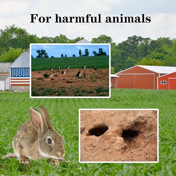 2 Pack Best Mole Rat Trap Repellent Kit Stainless Steel Professional Grade Weatherproof-ReusableEasy Set Below Ground (S-5IN)