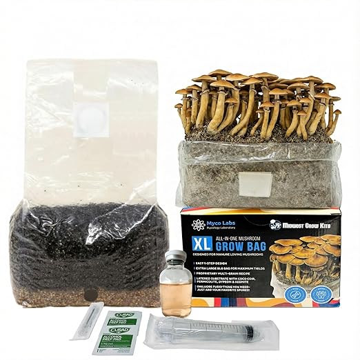 All-in-One Mushroom Grow Bag for Manure Loving Mushrooms + Spore Germination Jar! (6LB)