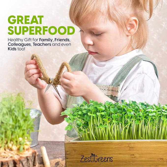 ZESTIGREENS Self Watering Microgreens Growing Kit. Hands Down The Easiest Way to Grow Microgreens. Includes Tray Seeds Mats and Bamboo Surround. Great Gift for Gardeners