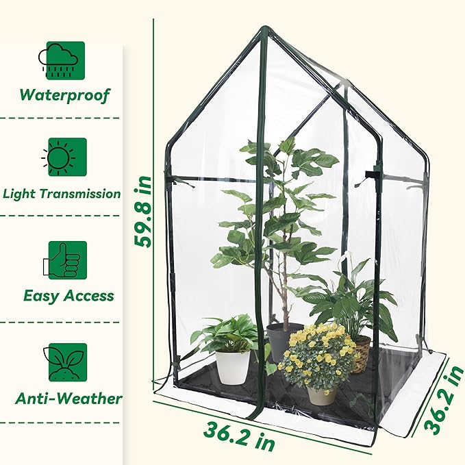 Gardzen Mini Greenhouse with Waterproof Bottom Portable Green House with Strong Metal Frame Small Green House for Outside and Inside Use36.2(L) x36.2(W) x59.5(H)