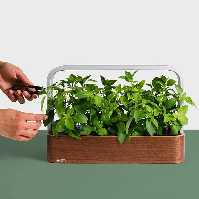 EDN SmallGarden with Basil SeedPods Indoor Grow Smart Garden for iOS Devices - Fresh Home Grown Herbs Plants and Flowers - Grow up to 10 Different Plants at Once
