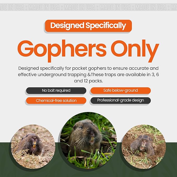 Worlds Best Gopher Trap New Stainless Steel USA Made! (12)