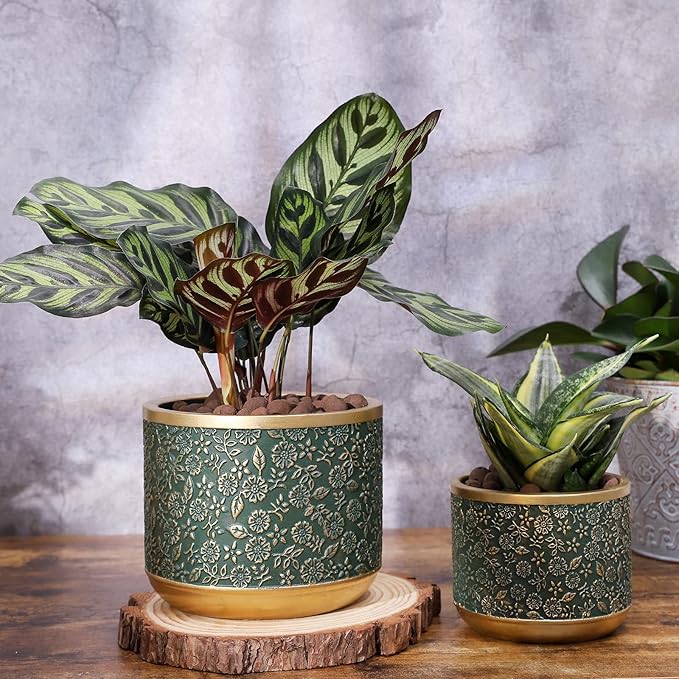 6 +4.4 Inch Cement Planter Decorative Pots with Drainage Hole for All House Plants Succulents Flowers and Cactus (Green)