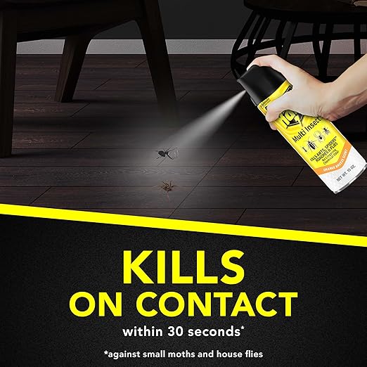 Raid Multi Insect Killer Aerosol Kills Ants Spiders Roaches and Flies No Lingering Chemical Odor Indoor and Outdoor Use 15 Ounce (Pack of 12)