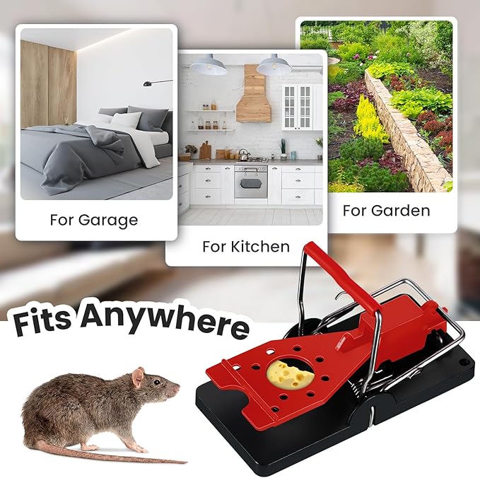 Qualirey 24 Pcs Mouse Traps Bulk Plastic Snap Rat Trap Reusable Quick Effective Safe for Indoor Outdoor Home House Warehouse Garden Kitchen 3.86 x 1.81 x 2.17 Inch (Red)