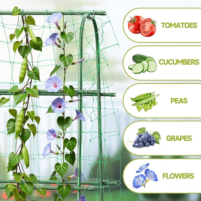HIRALIY Cucumber Trellis for Climbing Plants Outdoor 5.25ft Tall Heavy Duty Metal Garden Arch Trellis Rustproof Plant Support Tunnel for Tomato Grape Bean Raised Bed and Vegetable Gardens Green