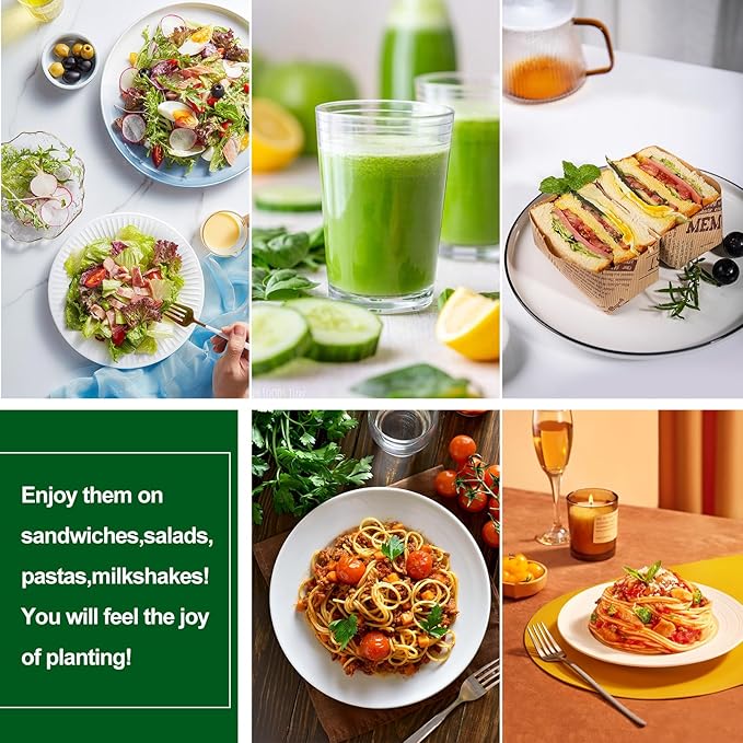 64PCS Microgreens Kit 5 X 5 Hydroponic Sprouting Pads Microgreen Grow Mat Indoor Organic Production for Microgreen Starter Tray Wheatgrass Sprouts