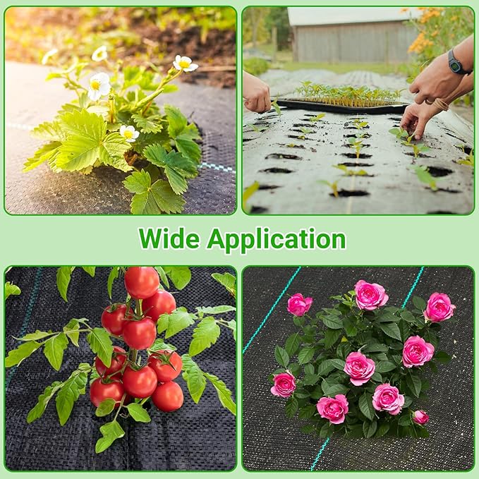 UNIFAMILY 2pcs Landscape Fabric Heavy Duty Total 3 x 60 Feet Woven Barrier Fabric with Planting Holes Garden Ground Cover Fabric Garden Sheets Planting Fabric Gardening Fabric with Precut Holes