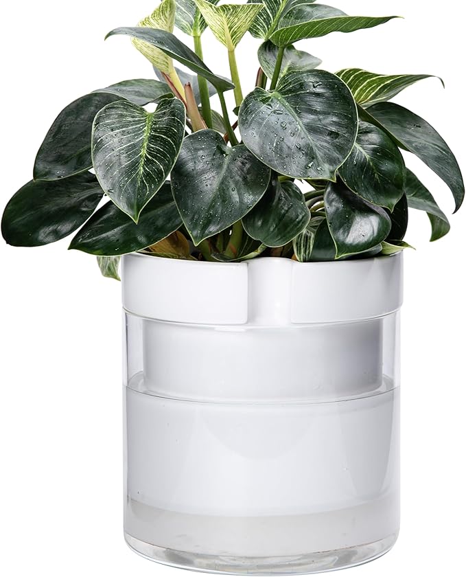 Phoenix Vine 10 Inch Self Watering Planter White Terracotta Clay Pot with Glass Reservoir for Indoor Plants Herbs Flowers Set of 1 52-B-I-1