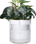 Phoenix Vine 10 Inch Self Watering Planter White Terracotta Clay Pot with Glass Reservoir for Indoor Plants Herbs Flowers Set of 1 52-B-I-1