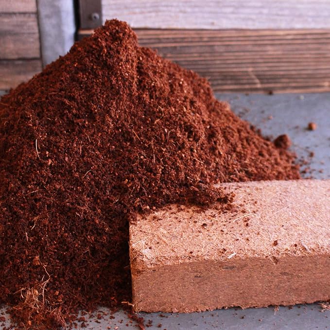 Minute Soil - Compressed Coco Coir Fiber Grow Medium - 3 Bricks = 4.5 Gallons of Potting Soil - Seed Starting Gardening House Plants Flowers Microgreens Wheatgrass - Add Water - Peat Free - OMRI