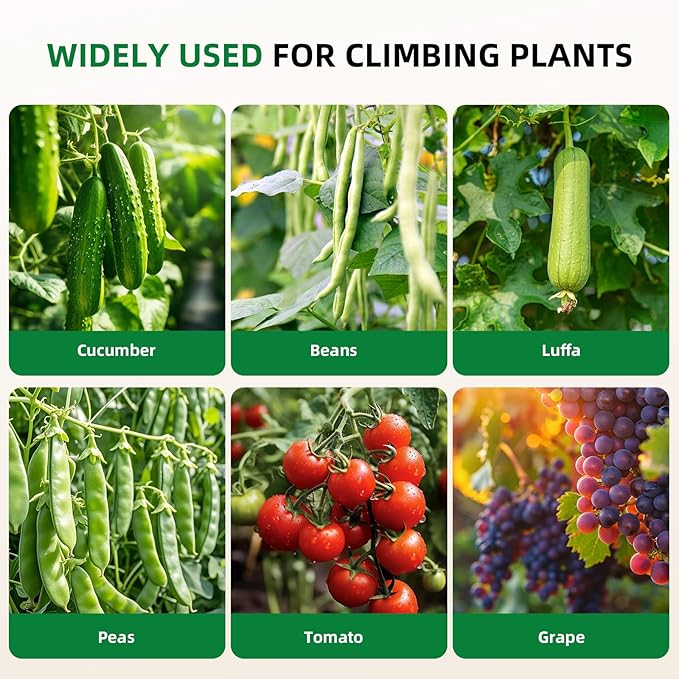 Cucumber Trellis for Raised Bed U-Shape Garden Arch Metal Support for Climbing Plants Metal Arch Plant Support Vegetables Trellis Plant Support for Vine (Green 31.5 * 30 * 47inch(L*W*H))