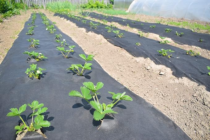 Extreme Weed Block 15 ft. x 20 ft. Planting Fabric Landscape Barrier &amp Ground Cover