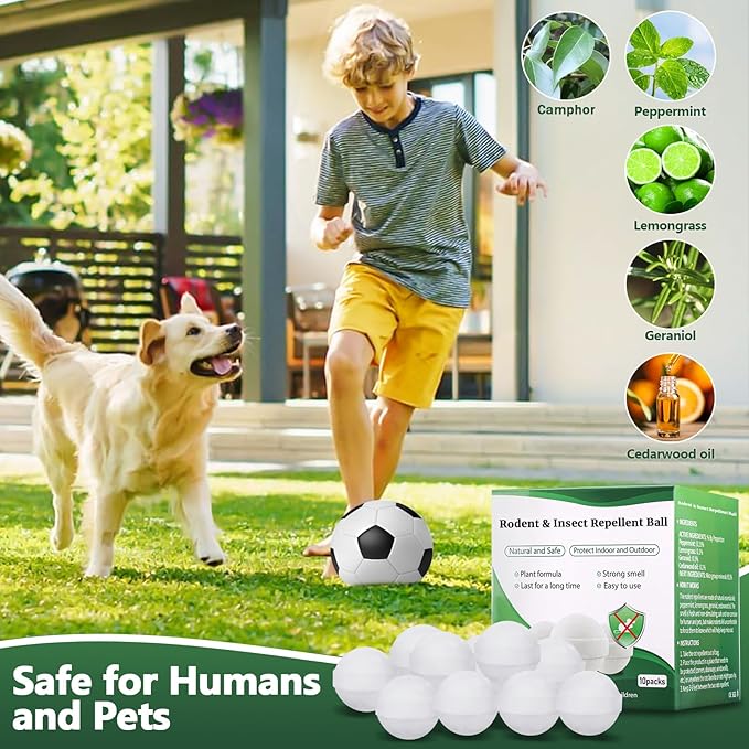 Mouse and Mice Repellent Indoor Outdoor 10 Packs Moth Balls Peppermint Balls for Rodent Long-Lasting Squirrel Repellent Safe for Human &amp Pets Suitable for Home Storage Garage Car RV