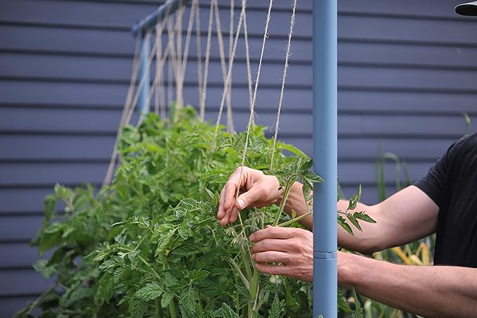 Seattle Urban Farm Company - Freyr Trellis - Vegetable Garden Trellis for Tomatoes Cucumbers Beans Peas and More