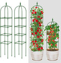 Garden Trellis for Climbing Plants Outdoor &amp Indoor - 2 Pack 6Ft Tall Rustproof Plant Support Cage for Vines Flowers Vegetables Roses | Heavy-Duty Adjustable &amp Decorative