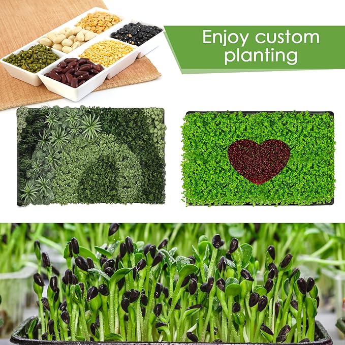 Microgreens Growing Trays Kit – 6 Pack Micro Green Grow Trays with 12 Hemp Fiber Grow Mats 15 x 11 x 2.5 Inch Seed Starter Trays for Growing Microgreens Indoor Gardening