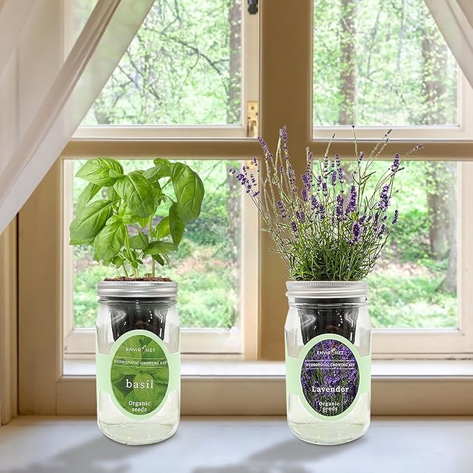 2-Pack Hydroponic Mason Jar Herb Garden Kit Indoor Herb Garden Self-Watering Starter Kit (BasilLavender)