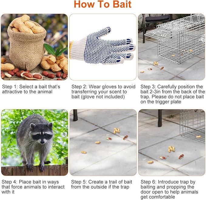 KOCASO Live Animal Trap Cage Large Foldable Galvanized Steel Humane Animal Cage Trap Heavy Duty Metal Cat Trap Cage for Stray Cat Raccoon Groundhog Squirrel Chipmunk Mole Gopher Skunk 31x11x12