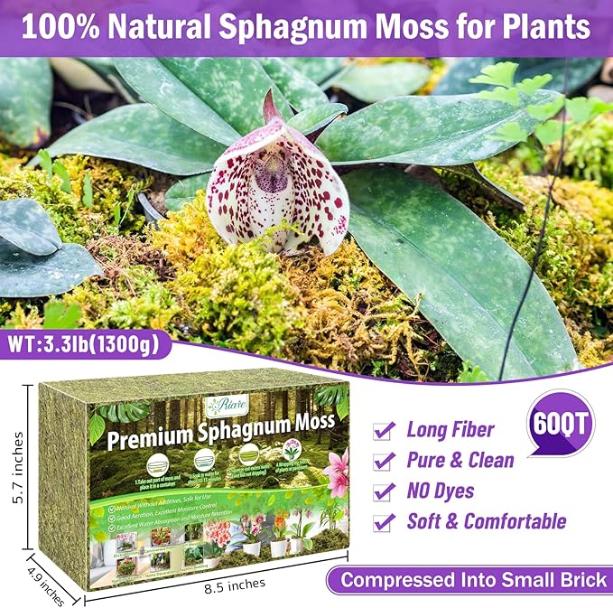 Riare 3.3LBS Premium Sphagnum Moss for Plants- 60QT Natural Dried Plant Moss for Potted Plants Orchid Moss for Repotting Soft Green Decorative Moss for Succulents Reptiles &amp DIY Crafts