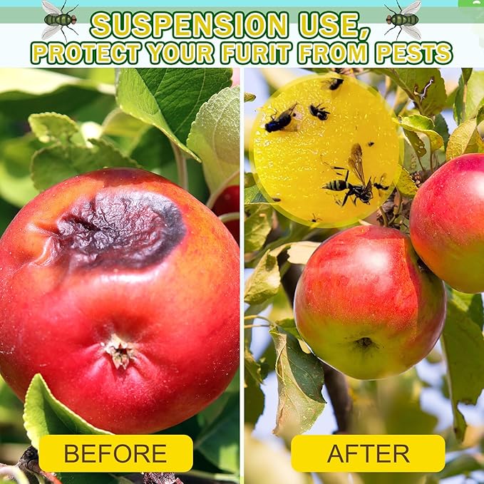 Qualirey 10 Set Fruit Fly Sticky Trap Balls Fungus Gnat Killer Bug Catcher Gnat Trap Insect Traps Indoor Outdoor Plant Fly Sticky Traps Ball for Fungus Plants(Yellow)