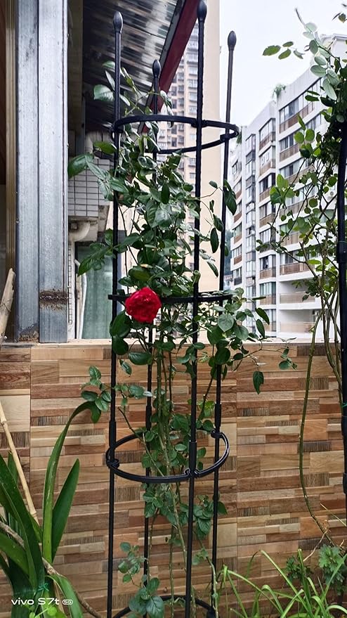 1 Pack Garden Trellis Plant Cages &amp Supports for Vines Crop Plant Trellis for Climbing Plants Indoor Outdoor Plant Stake for Flower Vegetable TomatoVines Pot Trellis for Potted Plants