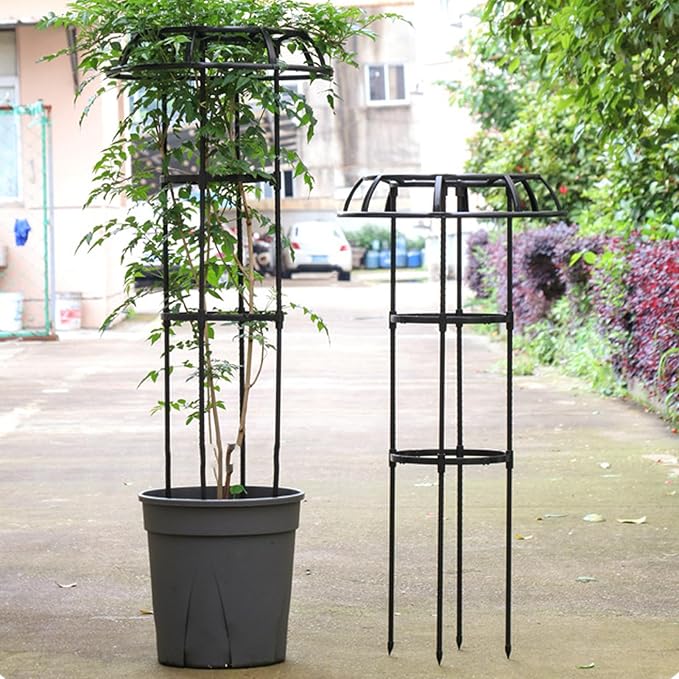 FLEXMAN Garden Trellis for Climbing Plants 50cm Diameter Climbing Vine Frame Round Garden Trellis Tomato Cages for Climbing Vines Rose Bushes Indoor Potted Plants Tomatoes (3 Tier)
