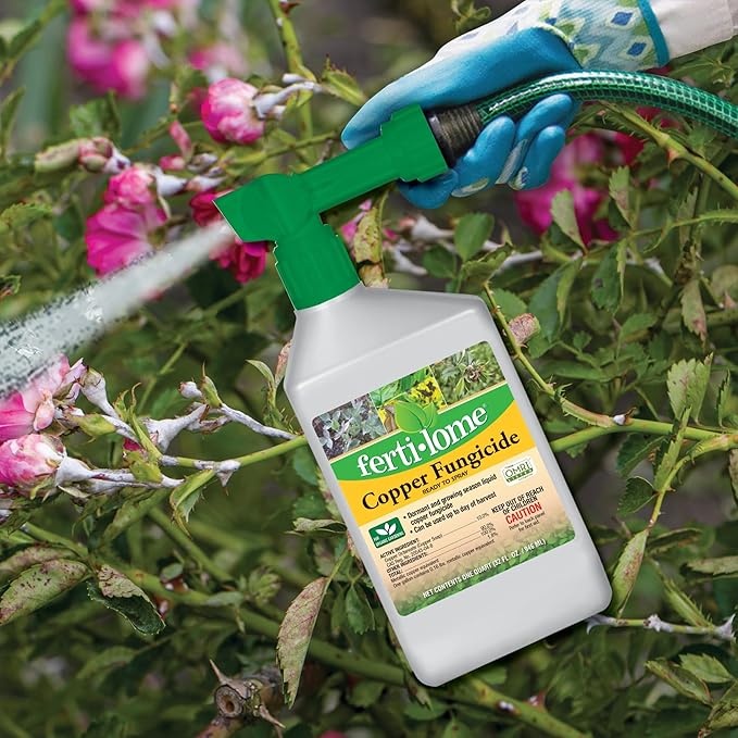 Fertilome (16134) Copper Fungicide Ready to Spray Controls Needle Blight Blackspot Powdery Mildew and More OMRI Listed (32 oz.)