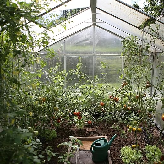 Polycarbonate Sheet 32.8Ft x 3.28FtDIY UV Resistant Polycarbonate Greenhouse PanelsInsulated Transparent Polycarbonate Roof Panels for Roof Farming Gardening Agriculture Courtyards Canopy