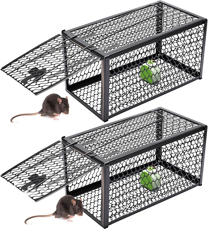 Qualirey 2 Pcs Humane Rat Trap Chipmunk Rodent Mouse Squirrel Trap 11 x 6 x 6 Inches Small Live Animal Mouse Voles Hamsters Live Cage Rat Cage for Mice Easy to Catch and Release Black