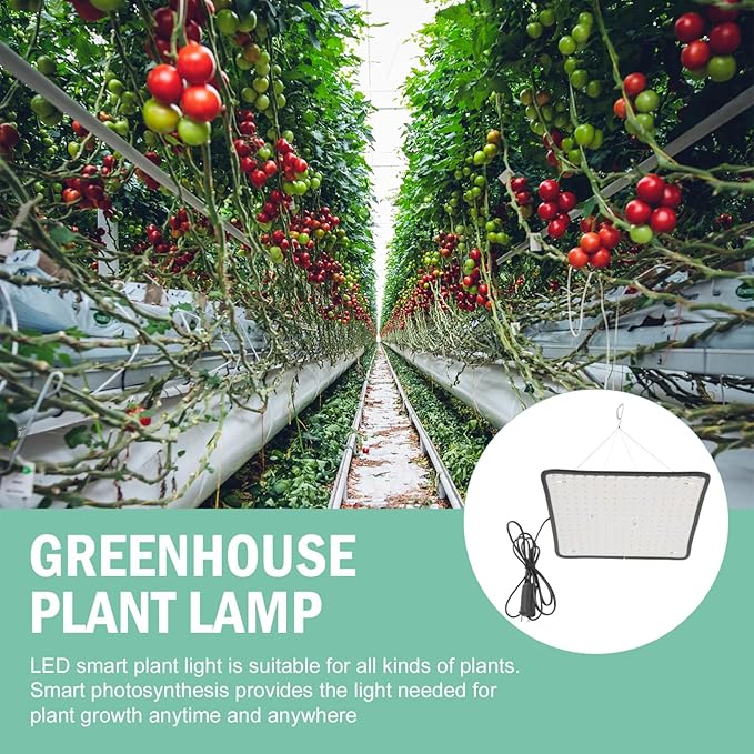 Plant Grow Light Lamp Dimmable Hanging Chain for Greenhouse Live Houseplants