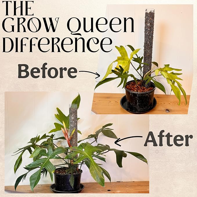 Plant Health Full Transplant Starter Kit