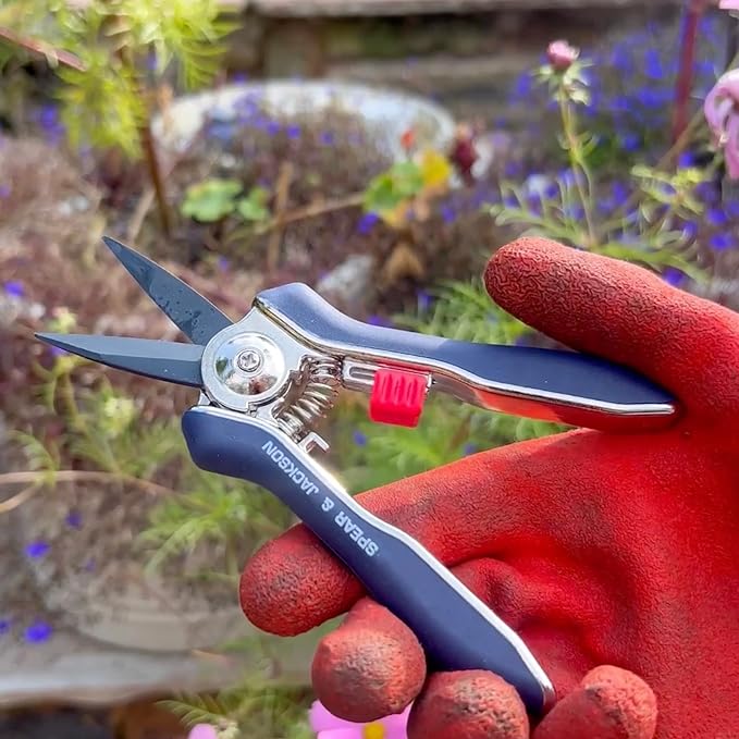 Spear &amp Jackson Razorsharp Mini Pruner Set for Small Garden Tasks and Bonsai Care 2 Piece Precision Compact Lightweight Ergonomic Pruning Shears
