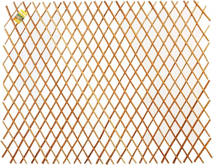 FOREVER BAMBOO Expandable Peeled Carbonized Willow Wood Trellis Fence Plant Climbing Lattices Trellis Fence Support 36 in H x 72 in L (2-Pack)