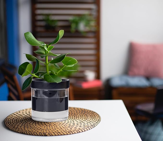 Phoenix Vine 4 Inch Self Watering Planter Pot Black Terracotta Clay Pot with Glass Reservoir for Indoor Plants Herbs Flowers Set of 2 52-C-E-2
