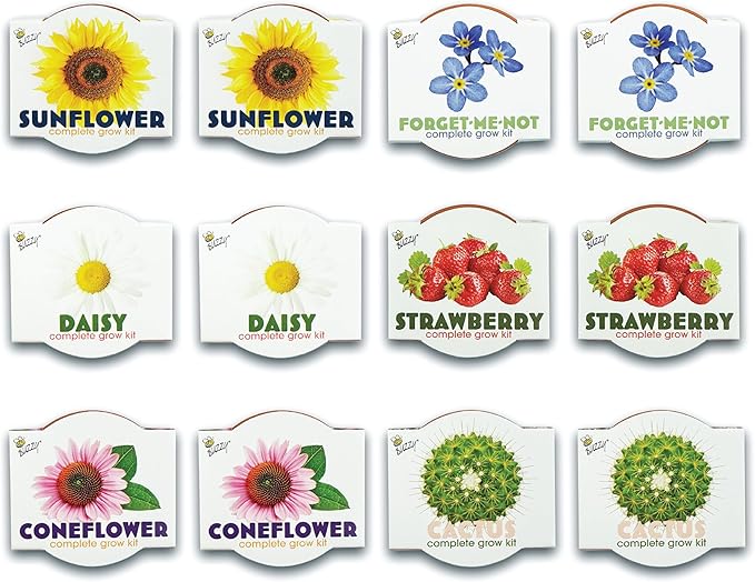 BUZZY Seeds Terracotta Mini Grow Pots 12-Pack – All-in-One Flower Kits with Growing Medium Sunflower Daisy Coneflower Strawberry Forget-Me-Not and Cactus Seeds DIY Plant Starter Collection