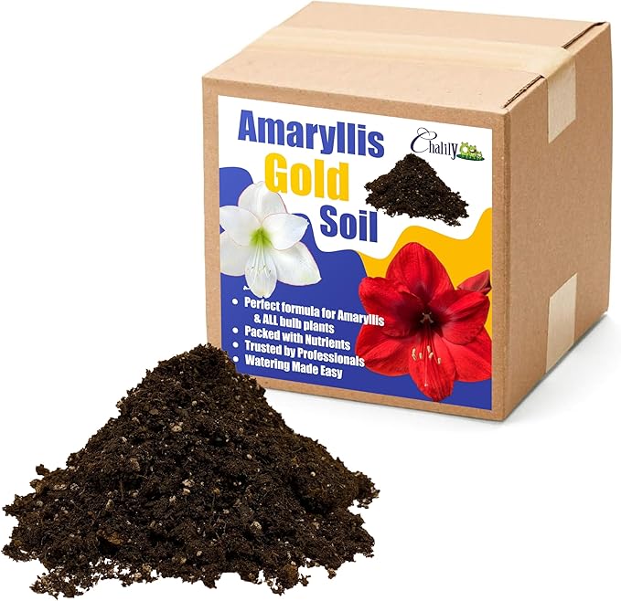 Chalily Amaryllis Potting Soil Perfect Planting Indoor &amp Outdoor House Tropical Mix Well Draining Houseplant Gardening Dirt Flower Paperwhites Hyacinth Premium Garden Poting (16 qt)