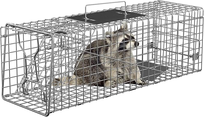 Nouva 24 Live Animal Cage Trap - Steel Large Folding Humane Cat Trap Raccoon Trap w/Handles for Rabbits Stray Cats Squirrels Skunk Groundhogs and Opossums