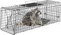 Nouva 24 Live Animal Cage Trap - Steel Large Folding Humane Cat Trap Raccoon Trap w/Handles for Rabbits Stray Cats Squirrels Skunk Groundhogs and Opossums