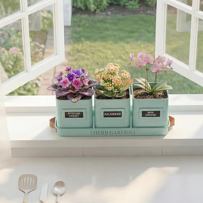 PERFNIQUE Indoor Herb Garden Herb Planter Set with Tray Farmhouse Indoor Plant Pots Windowsill Herb Garden with Drainage(Planter only) for Indoor/Outdoor Window Pots (Mint)