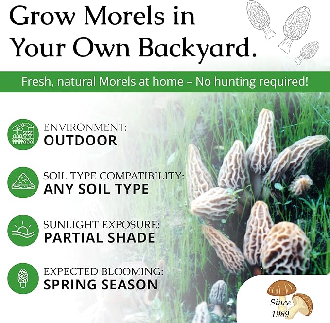 MOREL HABITAT KIT® Morel Mushroom Growing Kit (Morchella) Compatible with Any Soil Type Across the U.S. Outdoor Garden &amp Backyard Cultivation Set with Full Instructions - Made in the USA