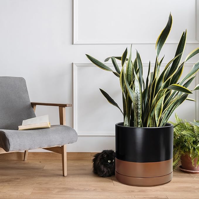 D'vine Dev 14 Inch Ceramic Planter Pot with Drainage Hole and Saucer Indoor Cylinder Round Planter Pot Black/Speckled Tan 94-O-G-7